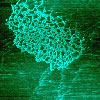 Nanoscale image